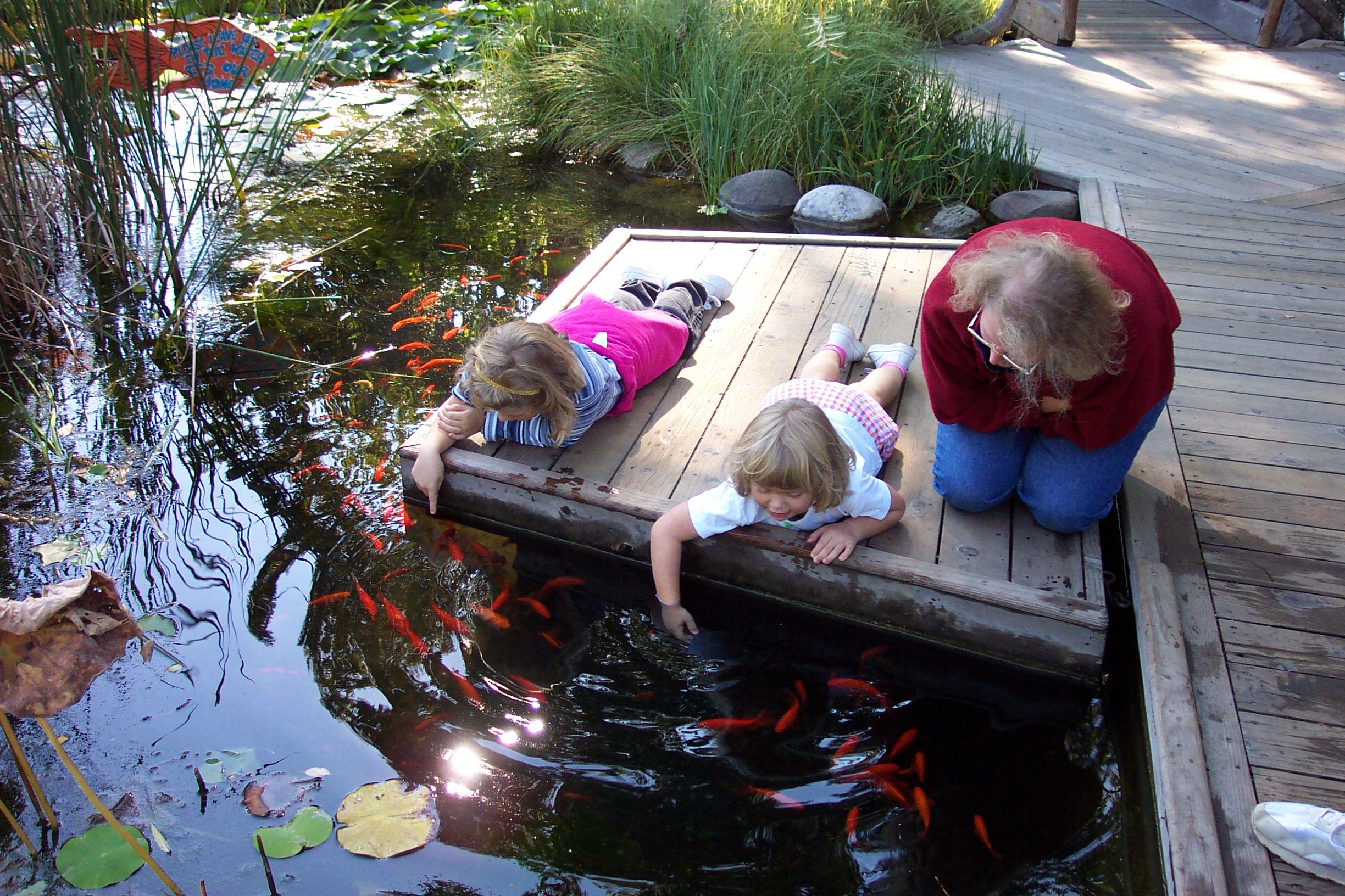 Kids And Fish Pond: Over 5,619 Royalty-Free Licensable Stock Photos